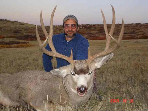 2004 Muley.jpg 2004 Muley.jpg