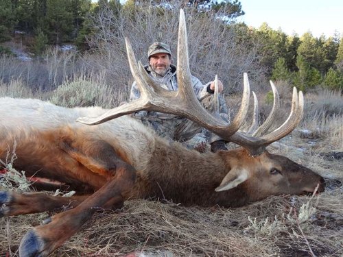 2012 elk 018.jpg 2012 elk 018.jpg