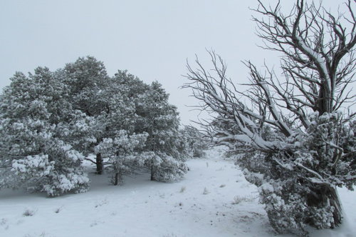 aprils fools 007.JPG