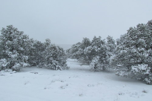 aprils fools 008.JPG