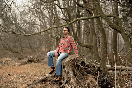 Trump JR Tree.jpg Trump JR Tree.jpg