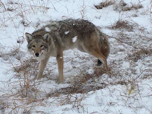 IMG_1318.jpg IMG_1318.jpg