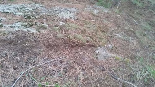 20170411_063324.jpg 20170411_063324.jpg