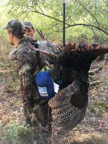 TurkeyPack.jpg TurkeyPack.jpg