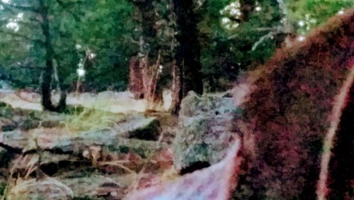 20170407_193748.jpg 20170407_193748.jpg