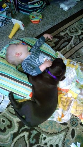 pup & boy.jpg pup & boy.jpg