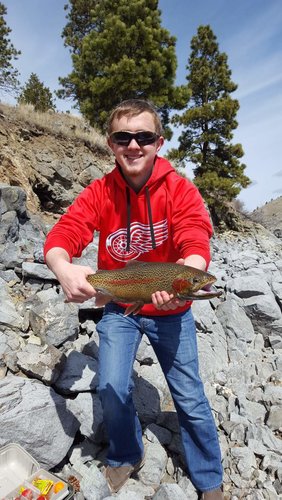 20170422_112201.jpg 20170422_112201.jpg