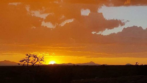 erindi namibia sunset 2.jpg