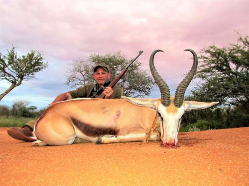 springbok 1.jpg springbok 1.jpg