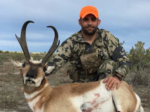 antelope 2016.jpg antelope 2016.jpg