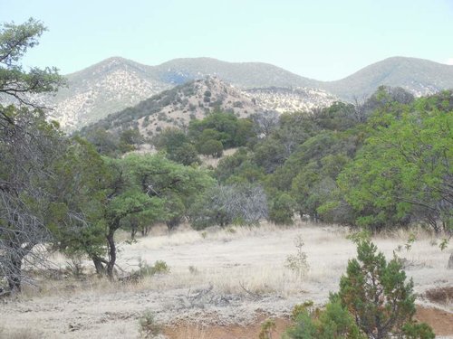 DSCN0388.jpg