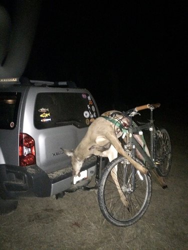 deer.jpg deer.jpg