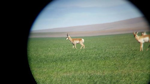 20170514_091318.jpg 20170514_091318.jpg