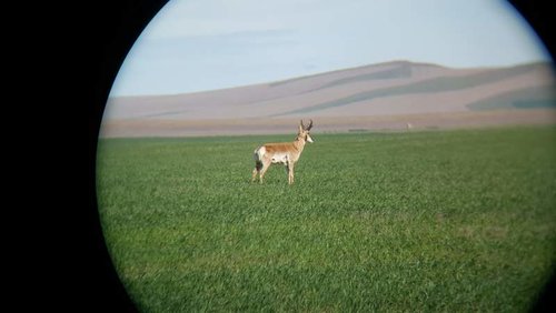 20170514_091303.jpg 20170514_091303.jpg