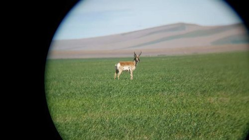 20170514_091300.jpg 20170514_091300.jpg