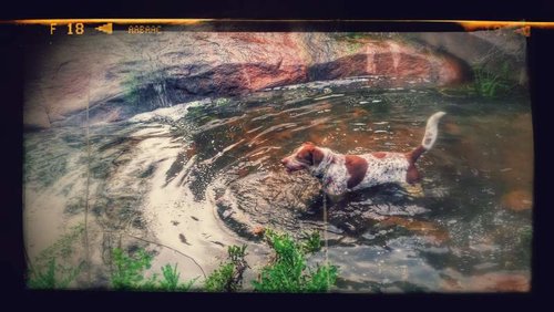 20170515_184159-EFFECTS.jpg 20170515_184159-EFFECTS.jpg