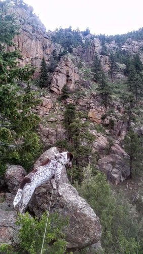 20170515_185542.jpg 20170515_185542.jpg