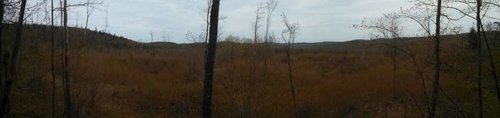 IMG_20170520_144538_357.jpg
