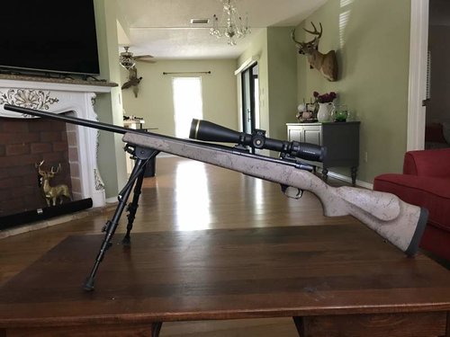 weatherby 300.jpg