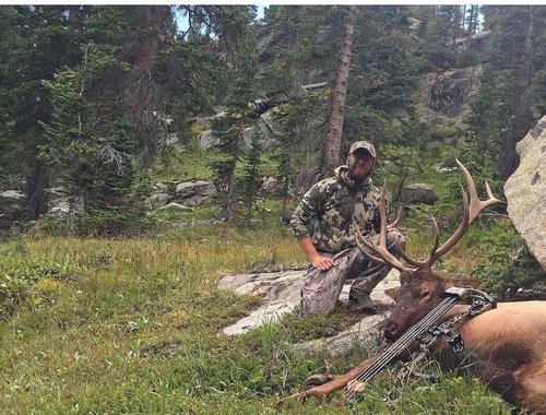 2017 CO Elk.jpg