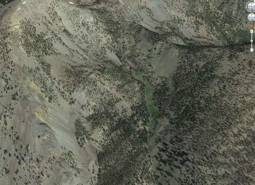 Screen Shot 2017-06-03 at 12.18.11 PM.jpg