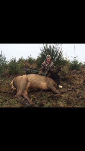 IMG_5638.jpg IMG_5638.jpg