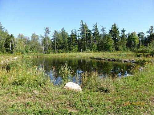 dads ponds.jpg dads ponds.jpg