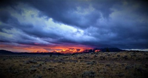 IMG_5120 (3).jpg