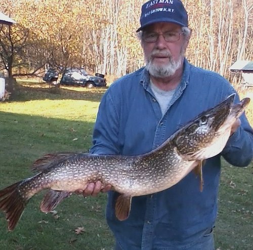 Pike.jpg