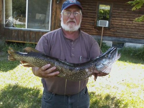 Pike2.jpg