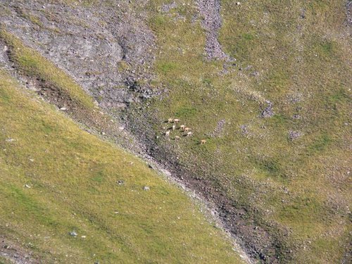 2006 CO Hunt 015.jpg
