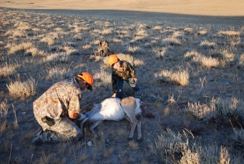 Wyoming hunt Sept. 30 2010 389.jpg Wyoming hunt Sept. 30 2010 389.jpg