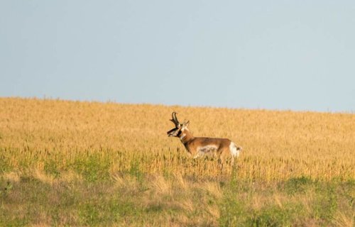 DSC_1963-1.jpg