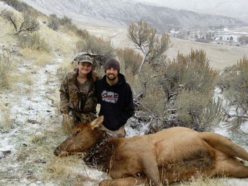 Elk - Macy Dec 16.jpg Elk - Macy Dec 16.jpg
