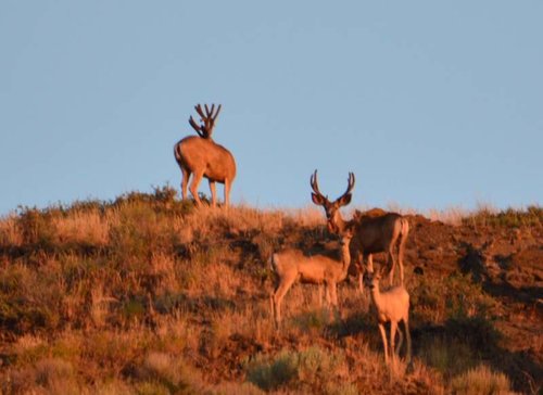IMG_1659.jpg