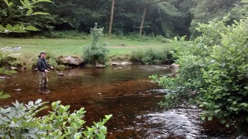 IMG_20170713_115733566.jpg IMG_20170713_115733566.jpg