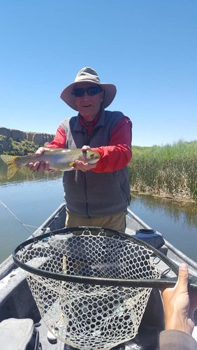 fish 1.jpg fish 1.jpg