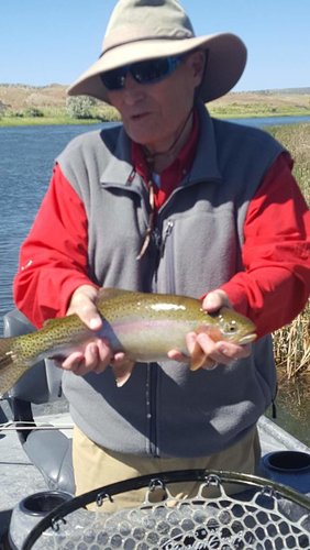 fish 2.jpg fish 2.jpg