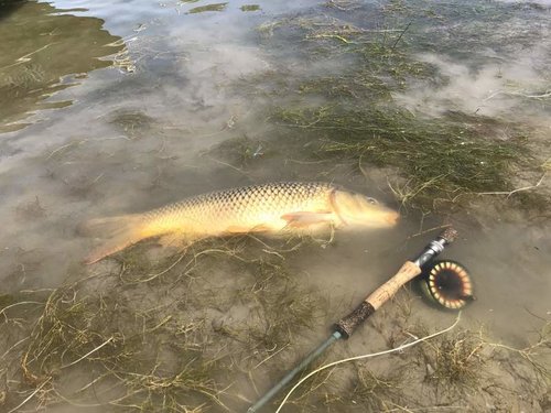 IMG_0050.jpg IMG_0050.jpg