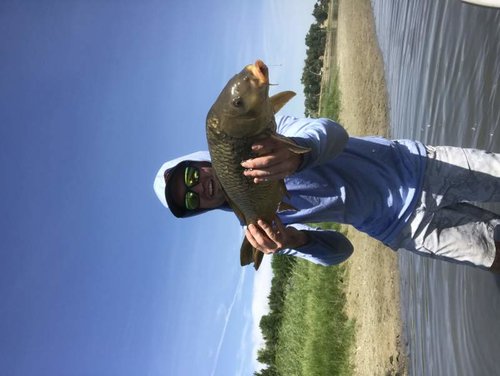 IMG_0060.jpg IMG_0060.jpg