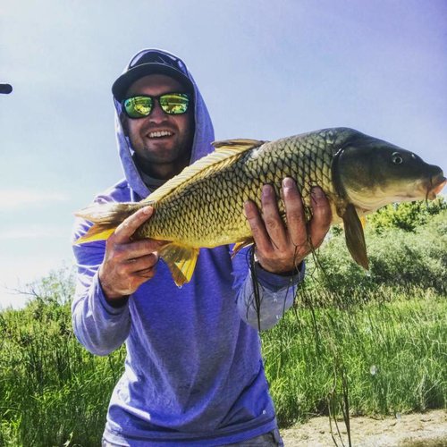 unnamed.jpg unnamed.jpg