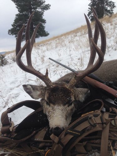 Learn Animal Scores: Mule Deer & Fallow Deer Score Sheets