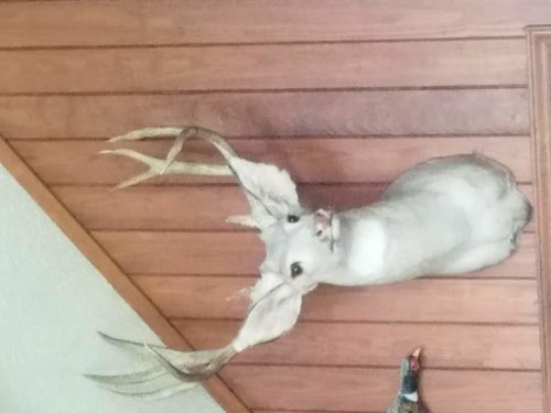 20170726_174938.jpg 20170726_174938.jpg