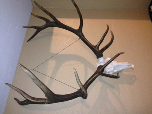 IMG_0289.jpg IMG_0289.jpg