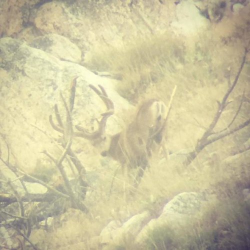 20621189_10213168126372907_2545819608531019527_n.jpg 20621189_10213168126372907_2545819608531019527_n.jpg