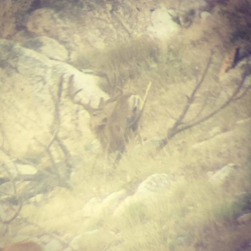 20604566_10213168125692890_8294023549977776932_n.jpg 20604566_10213168125692890_8294023549977776932_n.jpg