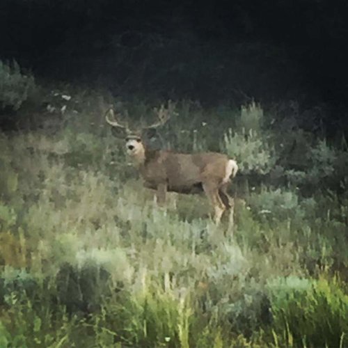 20525797_10213168127732941_3748445776992915023_n.jpg 20525797_10213168127732941_3748445776992915023_n.jpg