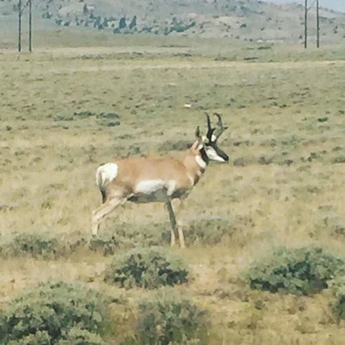 20526199_10213168107972447_7589284940426408301_n.jpg 20526199_10213168107972447_7589284940426408301_n.jpg