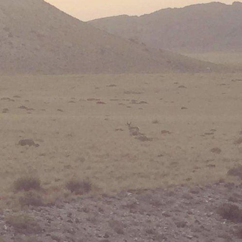 20597287_10213168129052974_7260495006047953396_n.jpg 20597287_10213168129052974_7260495006047953396_n.jpg