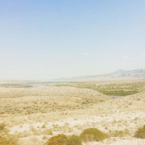 20604418_10213168106932421_8696054005083888524_n.jpg 20604418_10213168106932421_8696054005083888524_n.jpg